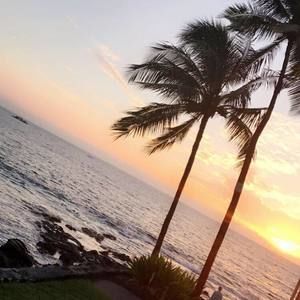 Meet your Posher, Rose